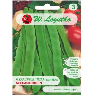 Fasola szparagowa tyczna 'Neckarkönigin' (Hilds Neckarkönigin) - zielonostrąkowa, śr. wczesna