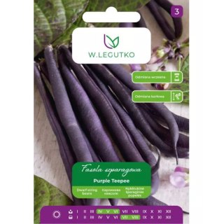 Fasola zwykła szparagowa karłowa fioletowostrąkowa Purple Teepee