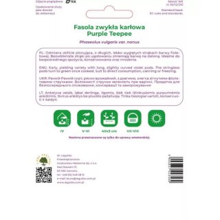 Fasola zwykła szparagowa karłowa fioletowostrąkowa Purple Teepee