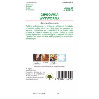 Gipsówka wytworna różowa
