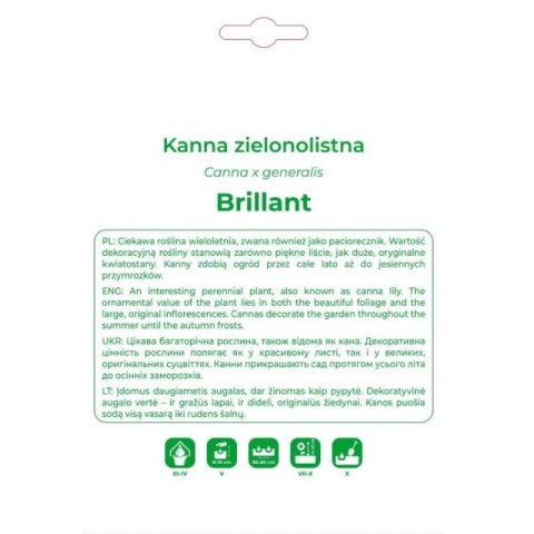 Kanna Brillant czerwona 1szt.