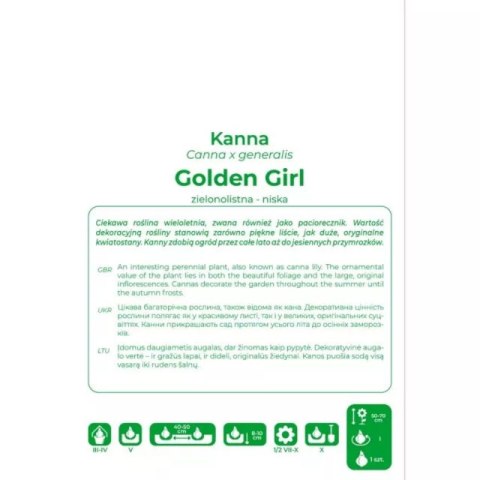Kanna Golden Girl żółta 1szt.