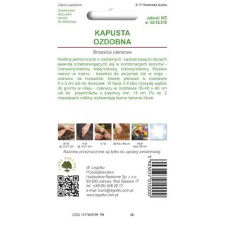 Kapusta ozdobna mieszanka