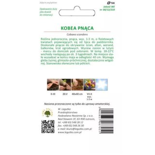 Kobea pnąca fioletowa - nasiona