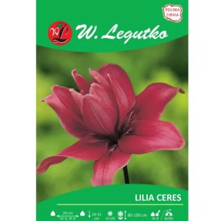 Lilia Ceres różowa 1szt.