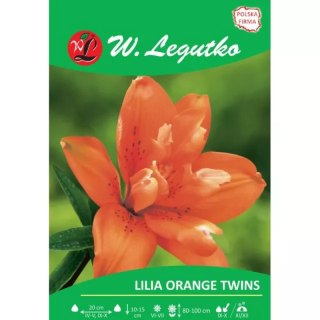 Lilia Orange twins pomarańczowa 1szt.