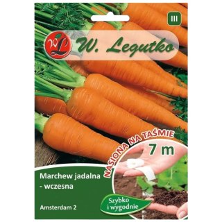Marchew 'Amsterdam 2' (Amsterdamska) - odmiana wczesna, jadalna