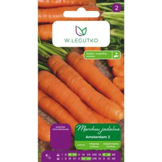 Marchew jadalna 'Amsterdam 2' (Amsterdamska) - odmiana wczesna