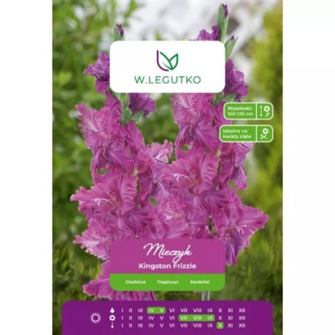 Mieczyk Kingston Frizzle różowy 5szt.