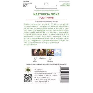 Nasturcja 'Tom Thumb' - niska, barwna mieszanka
