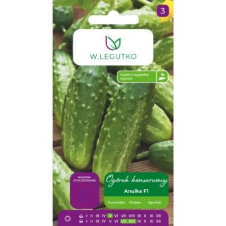 Ogórek korniszonowy gruntowy 'Anulka' (Cucumis sativus)