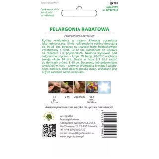 Pelargonia rabatowa biała 'Gama F1'