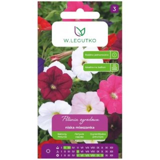 Petunia ogrodowa niska - mieszanka