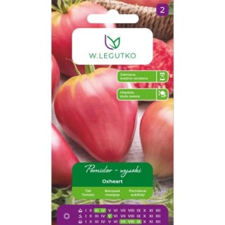 Pomidor gruntowy wysoki 'Coeur de Boeuf' (Oxheart) - owoce bardzo duże