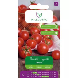 Pomidor gruntowy wysoki Pokusa - owoce typu"cherry", wczesna