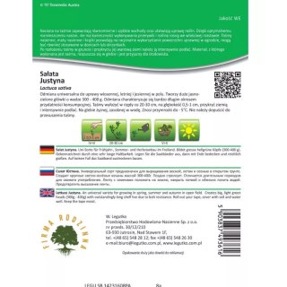 Sałata Justyna na taśmie, Lactuca sativa, 7 m