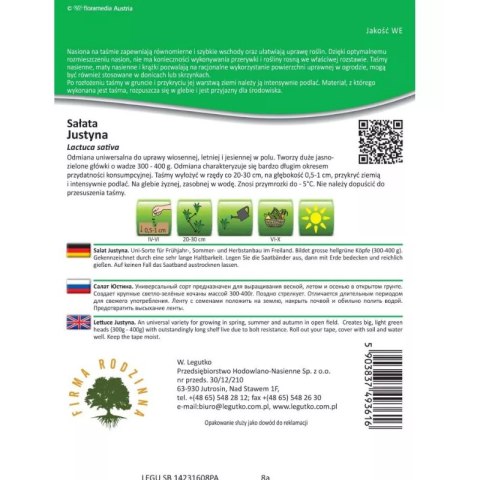 Sałata Justyna na taśmie, Lactuca sativa, 7 m
