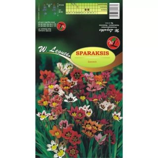 Sparaksis mieszanka 10szt.