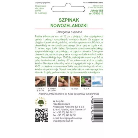 Szpinak nowozelandzki (trętwian) W. Legutko