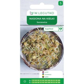 Nasiona na kiełki - soczewica