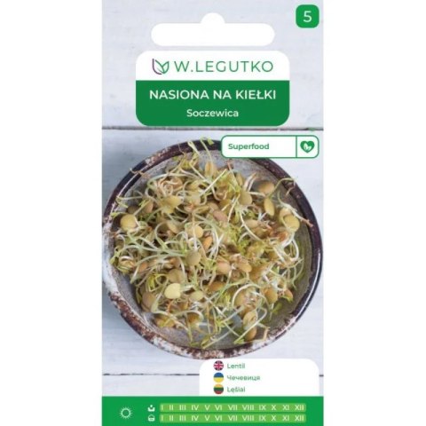 Nasiona na kiełki - soczewica