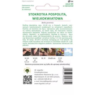Stokrotka pospolita wielkokwiatowa 'Gracja' czerwona