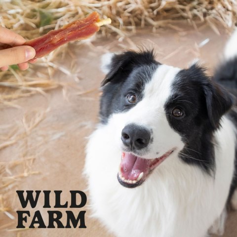 WILD FARM Przysmaki Naturalne Filety Dla Psa Piersi Kaczki Na Patyku 500G