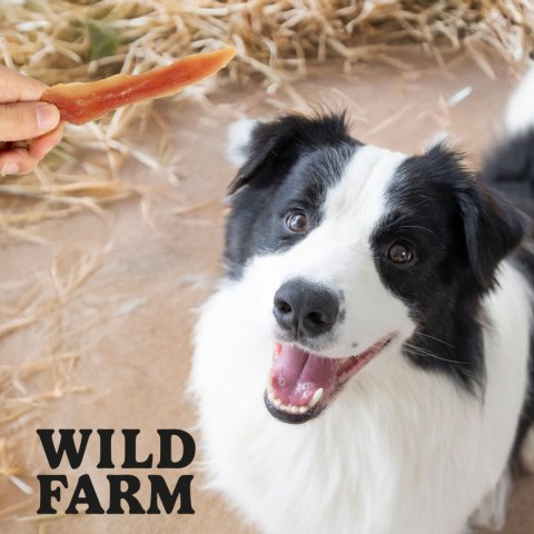 WILD FARM Przysmaki Naturalne Miękkie Piersi Dla Psa Kaczka 500G