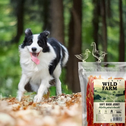 WILD FARM Przysmaki Naturalne Miękkie Piersi Dla Psa Kaczka 500G