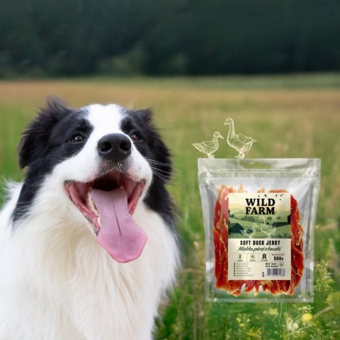 WILD FARM Przysmaki Naturalne Miękkie Piersi Dla Psa Kaczka 500G