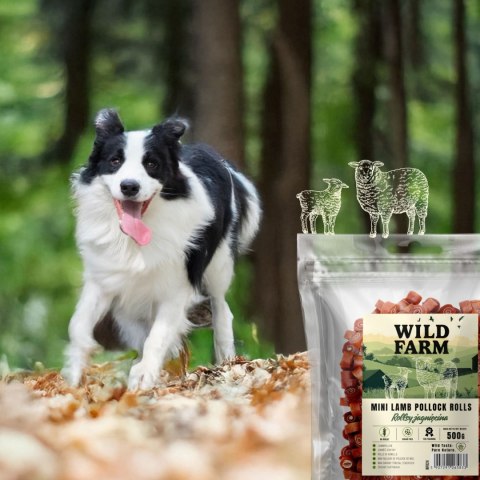 Wild Farm Treat Rolls For Dogs Lamb 500g