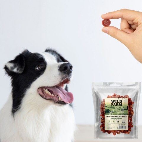Wild Farm Treat Rolls For Dogs Lamb 500g